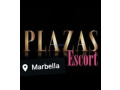 importante-y-reconocida-plaza-busca-escorts-small-0