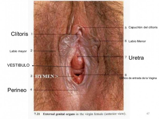 prueba-el-masaje-yoni-big-3