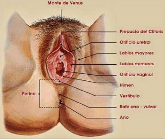 prueba-el-masaje-yoni-big-2