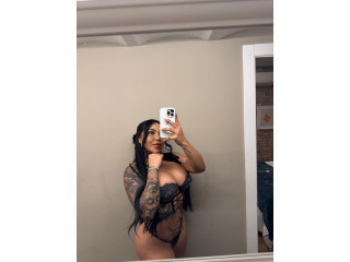 “Provocación Sin Límites”