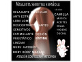 beatriz-masajista-sensitiva-sensual-independiente-castellon-centro-small-2